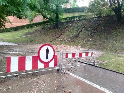 Na Wzgórzu Wawelskim osunęła się ziemi i odsłoniła ludzkie kości.