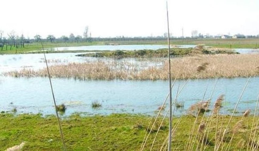 2 lutego - Dzień Pozytywnego Myślenia, Światowy Dzień...