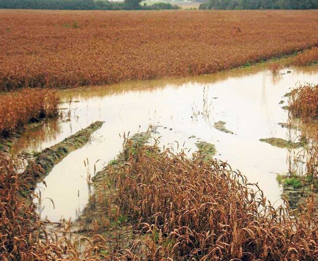 Najtrudniejsza sytuacja jest w północnej części regionu, w powiecie sławieńskim, w szczególności w gminie Postomino. Tu można zrobić mnóstwo takich zdjęć