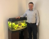 Prezydent Starachowic Marek Materek zainstalował w gabinecie... akwarium 