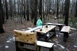 "Leśne imprezownie" przy Armii Krajowej w Olkuszu spędzają sen z powiek mieszkańców. „Spacer po naszej okolicy to brodzenie w śmieciach”