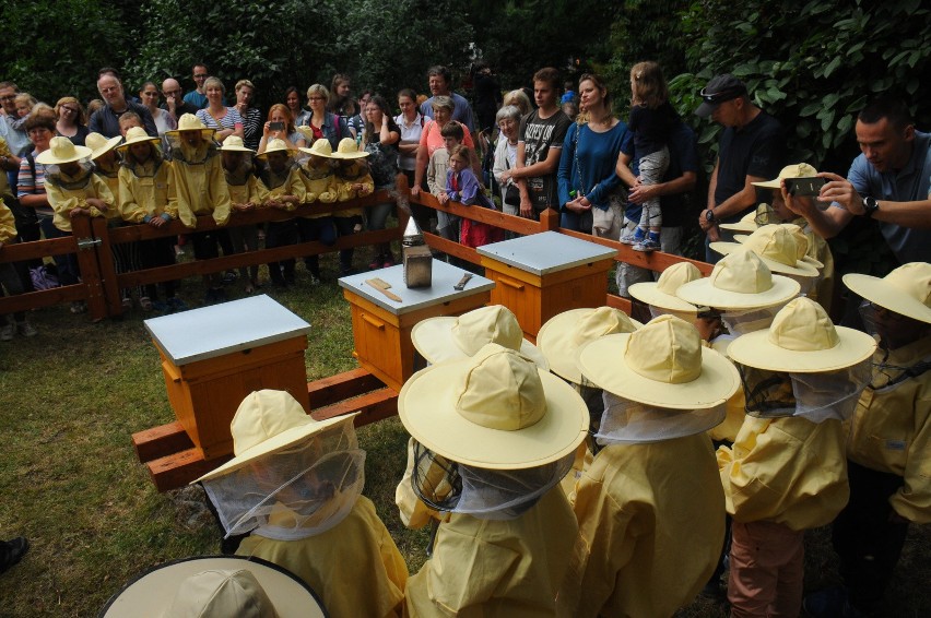 W krakowskim ogrodzie botanicznym także odbywają się...