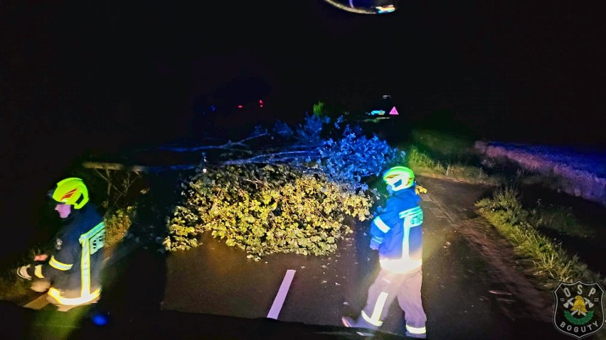 Burza nad powiatem ostrowskim narobiła niegroźnych szkód: przewalone drzewa, połamane gałęzie na drogach. 17.07.2023