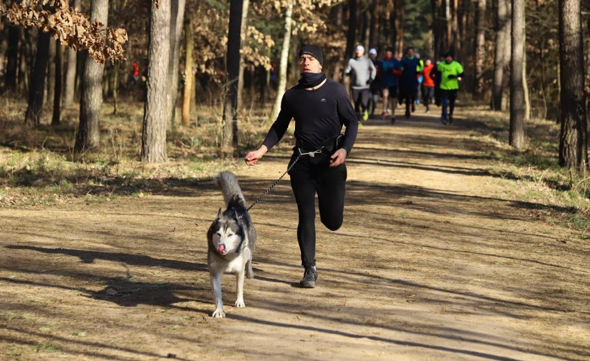 W sobotni poranek toruńscy biegacze tradycyjnie spotkali się...