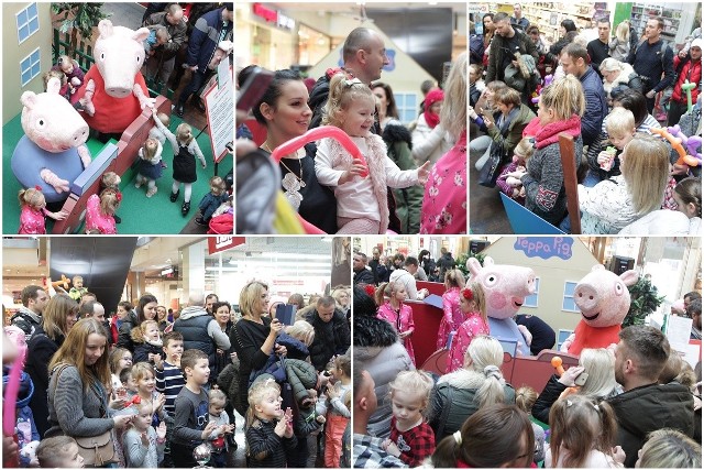 Świnka Peppa i jej młodszy brat George zaprosili małych włocławian do Wzorcowni. Wyjątkowi goście przygotowali niespodzianki - można było zrobić sobie foto z Peppą, obejrzeć przygody zwariowanego rodzeństwa, przybić piątkę z ulubionymi bohaterami i nagrać pozdrowienia dla Peppy. Do zdjęć ustawiła się długa kolejka. Nie zabrakło konkursów z nagrodami. Było głośno, kolorowo i wesoło.Włocławek - akcja "Murem za Owsiakiem"