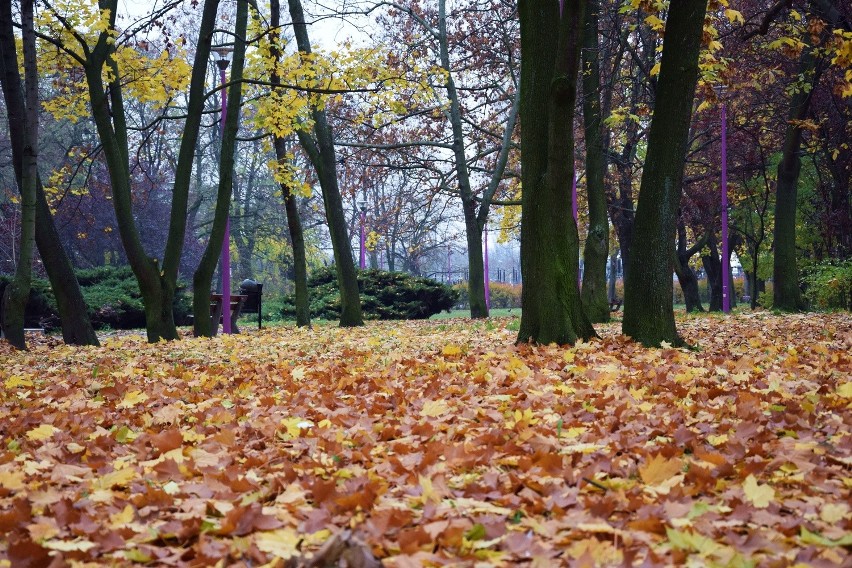 A w parku Andersa jesień...