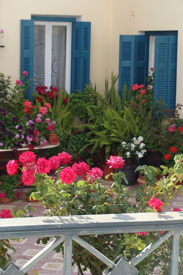 Jeśli lubicie śródziemnomorskie klimaty, wokół tarasu możecie stworzyć egzotyczny zakątek. Wiele kwiatów, to całkiem dobrzy znajomi, wystarczy je odpowiednio zestawić.