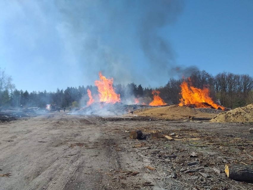 pożar hałdy trocin pod Strzelinem