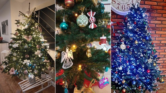 Otrzymaliśmy od Was mnóstwo zdjęć choinek, które dekorują Wasze domy w czasie tegorocznych świąt Bożego Narodzenia. Zobaczcie galerię zdjęć świątecznych drzewek Czytelników Gazety Pomorskiej.Kolejne zdjęcia na następnych stronach -----> 