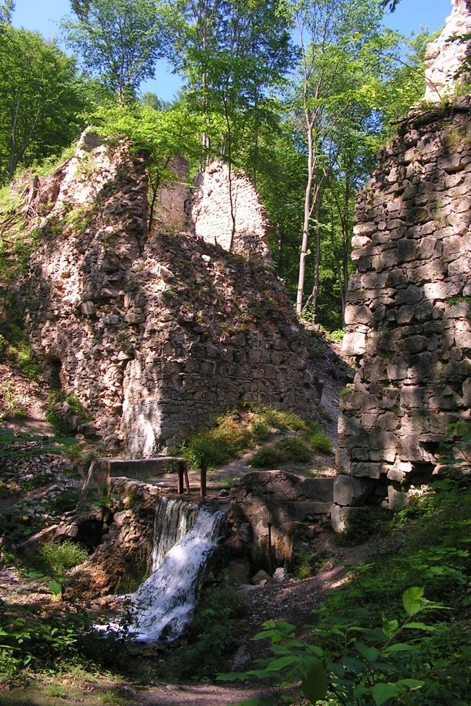 Rezerwat przyrody Dolina Eliaszówki to krajobrazowy rezerwat...