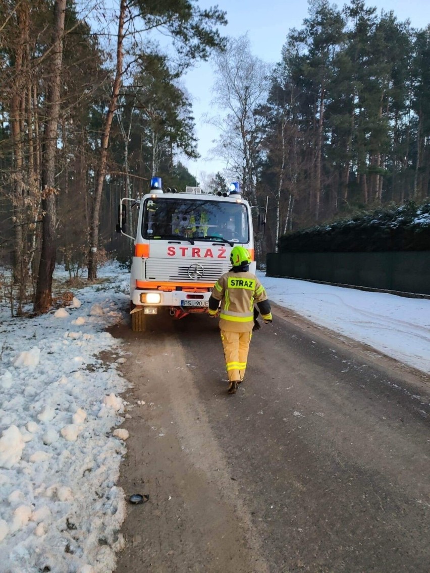 Jak relacjonują strażacy z OSP Powidz, na drodze z Wylatkowa...