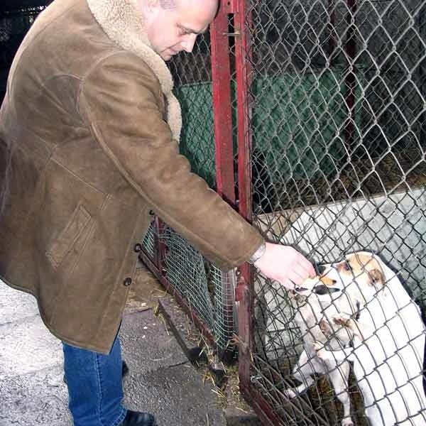 Miłośnikom zwierząt w Dębicy pozostaje mieć nadzieję, że tym razem obietnica  burmistrza stanie się faktem.