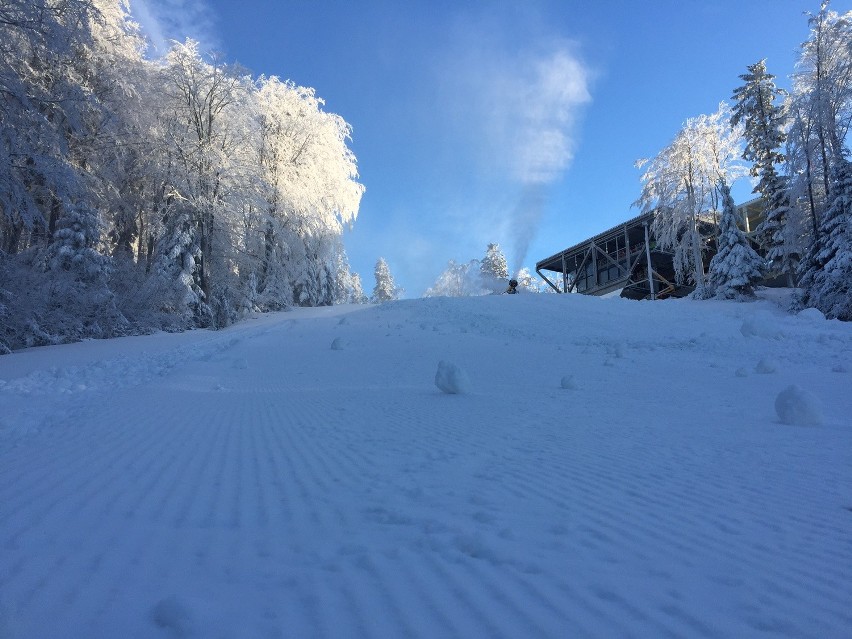 Stacja narciarska Kasina Ski [OPIS, WYCIĄGI, TRASY, KARNETY]