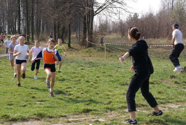 12 pierwszych osób z każdej grupy wiekowej zostanie zakwalifikowanych do międzypowiatowego finału w indywidualnych biegach przełajowych w Jedlińsku.