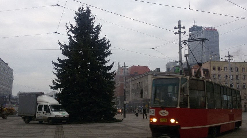 Choinka już stoi na Rynku w Katowicach