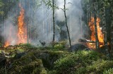 Pożar lasu w Rogach pod Niemodlinem. W akcji strażacy oraz samolot i helikopter gaśniczy