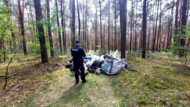 Tak dużego wysypiska śmieci dawno nie znaleziono w lasach w powiecie piotrkowskim. Wspólne działania policjantów z Sulejowa oraz strażników Straży Leśnej pozwoliły na ustalenie i odnalezienie właściciela śmieci, które pozostawił w lesie koło Zmożnej Woli (gmina Rozprza). 41-latek wkrótce odpowie przed sądem za popełnione wykroczenia. Otrzymał również nakaz posprzątania swoich śmieci.