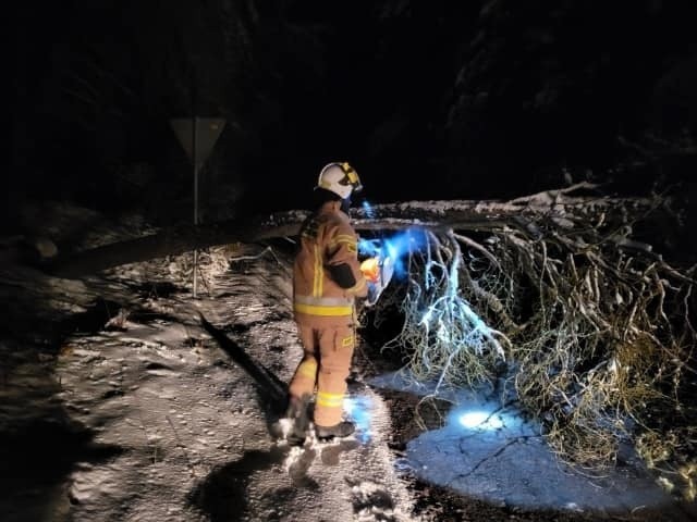 Nawrót zimy dał o sobie znać także w gminie Kluczewsko w powiecie włoszczowskim. Strażacy z Ochotniczej Straży Pożarnej w Januszewicach w piątek około godziny 22 usuwali drzewo, które z powodu opadów śniegu runęło na drogę w kierunku Stanowisk.