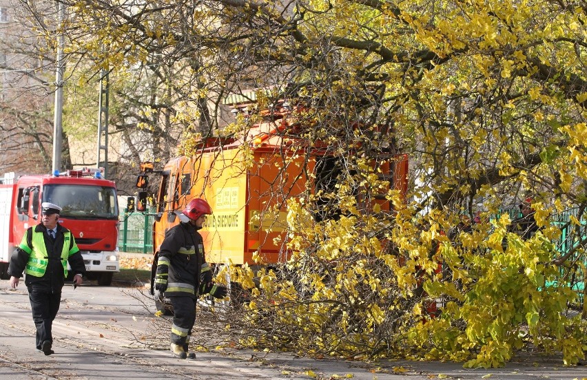 Drzewo przewaliło się na sieć trakcyjną w gdańskich Stogach