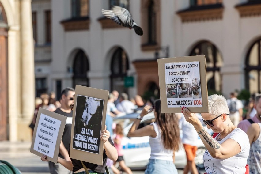 Obrońcy praw zwierząt pytają na Rynku w Krakowie: wybierasz spacer czy cierpienie koni?