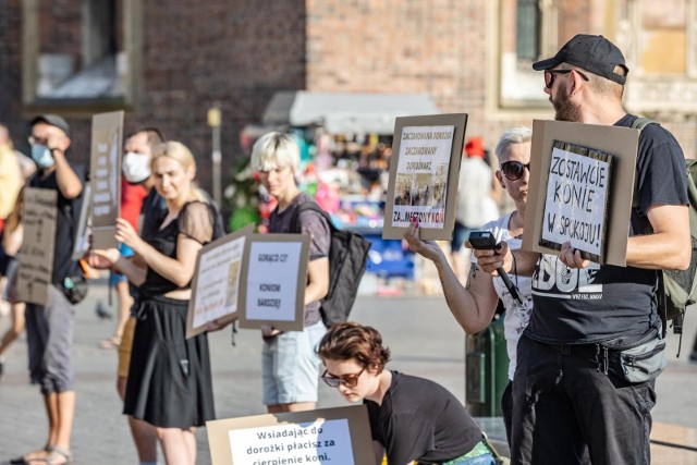 Przeciwnicy wykorzystywania koni w dorożkach po raz trzeci protestowali na Rynku Głównym w Krakowie