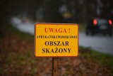 Cztery gminy powiatu gdańskiego strefami objętymi zakażeniem afrykańskim pomorem świń