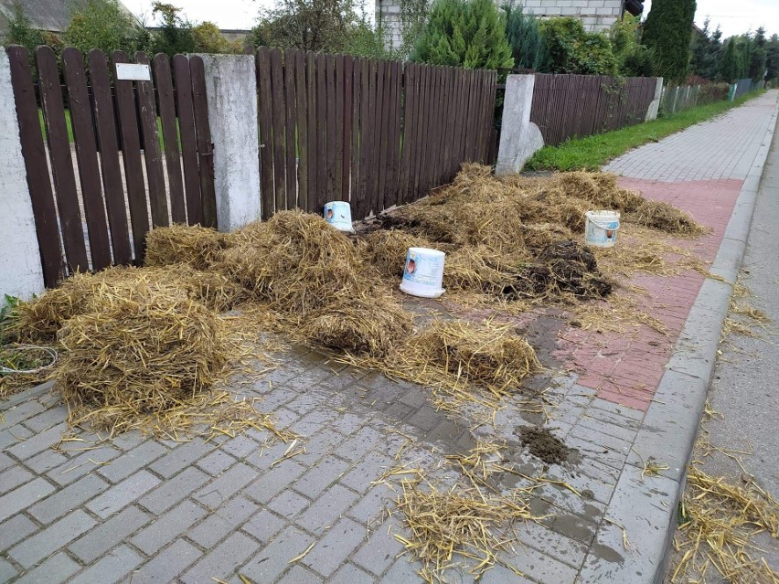 Rolnicy mówią "nie" piątce dla zwierząt. Zapowiadają kolejne...