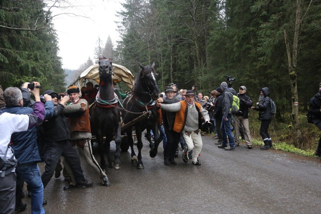Protest obrońców koni na drodze do Morskiego Oka.