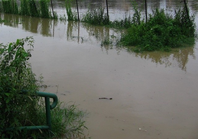 Woda zabrała tysiącom mieszkańców Podkarpacia dorobek wielu lat życia