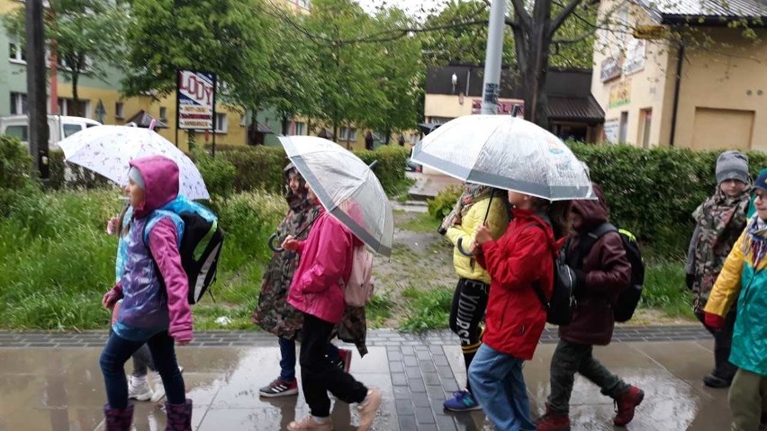 Starachowice. X Jubileuszowy Rajd Malucha. Dzieci zwiedzały wyjątkowe miejsca mimo deszczu