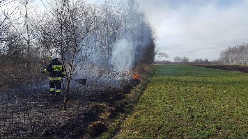 Seria pożarów traw w powiatach bocheńskim i brzeskim