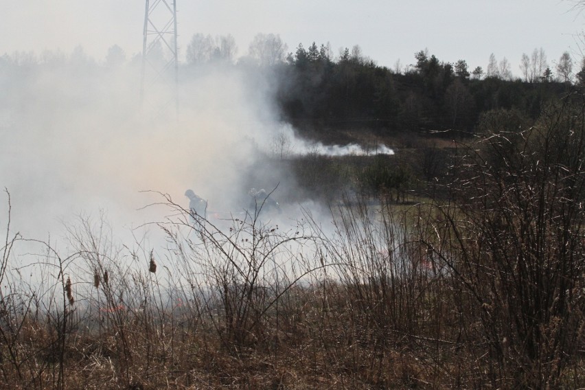 Powiat włoszczowski - 17 akcji strażackich, spłonęło prawie...