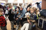 Tłumy uchodźców z Ukrainy na stacji PKP w Rzeszowie [WIDEO, ZDJĘCIA]