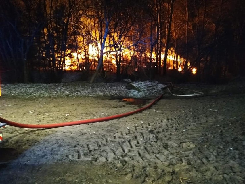 Knis. 11 zastępów straży pożarnej walczyło z groźnym pożarem (zdjęcia)