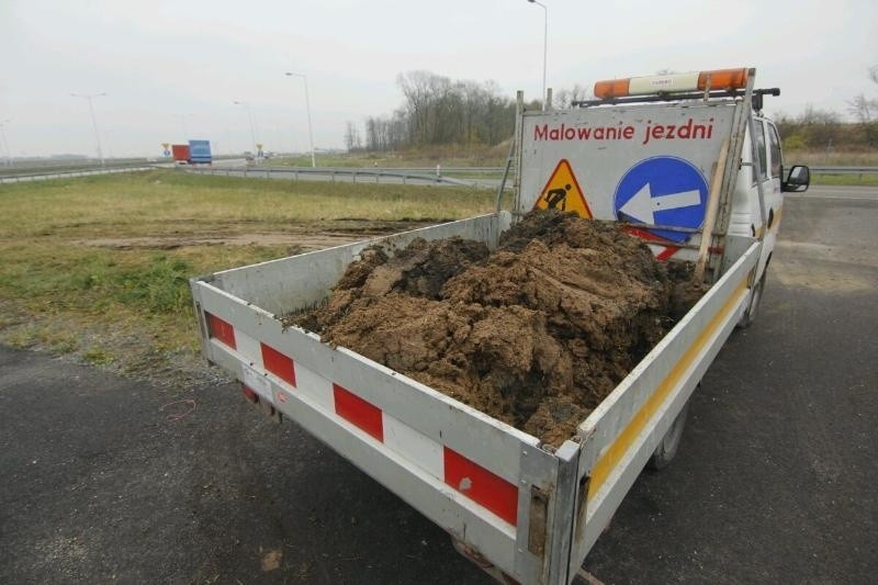 Wielki smród na AOW. Z ciężarówki wysypał się... gnój (ZDJĘCIA)