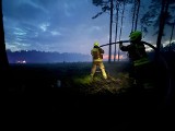 Spory pożar tuż za granicą województwa opolskiego. Paliło się 40 hektarów lasu. W akcji gaśniczej brało udział 50 zastępów straży