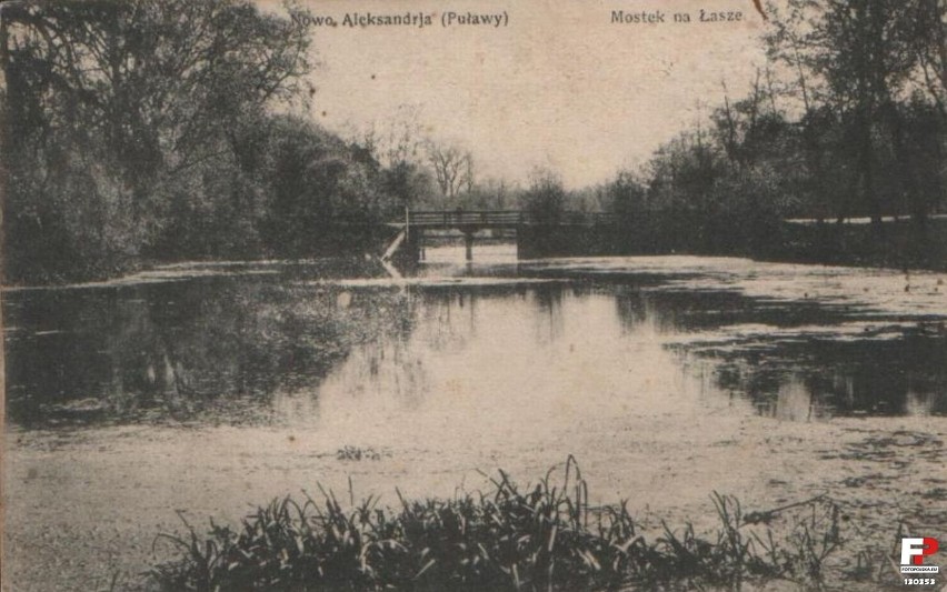 Fragment parku pałacowego- 1906 r.