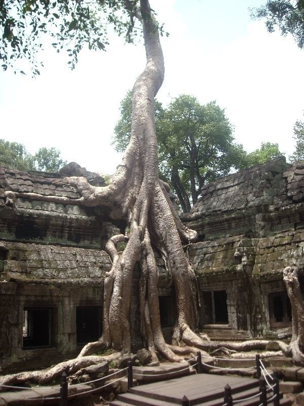 Kambodza, Angor Wat