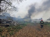 Pożar kurnika w podgorzowskiej wsi. Obok znajduje się zbiornik z gazem. W Starym Polichnie interweniowało kilka jednostek straży pożarnej