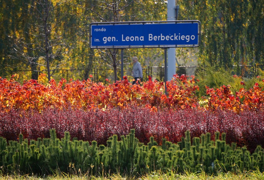 Jesień 2021. Najpiękniejsza dzielnica w Lublinie? Spacer po Kalinowszczyźnie to czysta przyjemność! Zobacz  jesienne zdjęcia