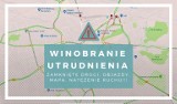 Winobranie 2018. Uwaga na utrudnienia! Od 5 września w Zielonej Górze zamknięte ulice [MAPA, WYKAZ ULIC]