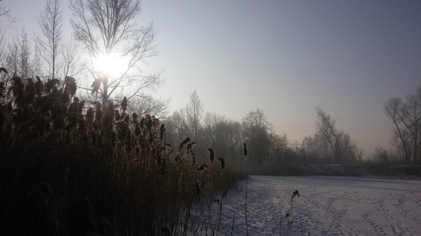 Sosnowiec: na Stawikach na razie zima, a niedługo zmiany [ZDJĘCIA]