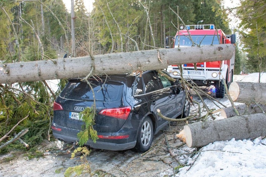 Kościelisko. To mogła być kolejna tragedia. Drzewo runęło na auto [ZDJĘCIA]