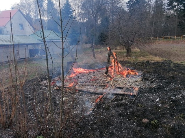 Do pożaru w Bolkowie w gminie Połczyn-Zdrój doszło w piątek przed południem.