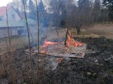 Pożar w gminie Połczyn-Zdrój. Paliła się altanka [ZDJĘCIA]