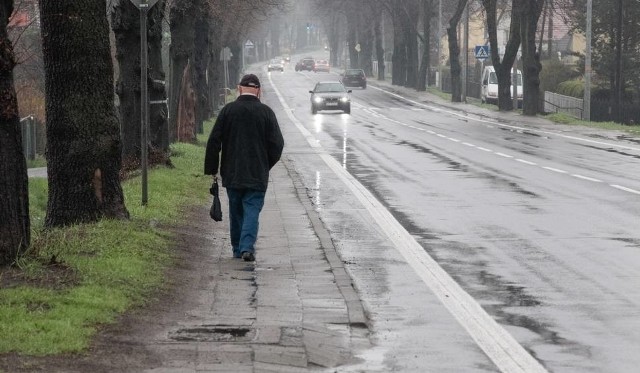 Ulice Strzelecka i Kowalczyków mają być przebudowane. Oznaczać będzie to wycinkę większości przydrożnych drzew.