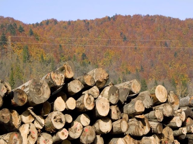 3-latek zginął pod ładowarką do drewna