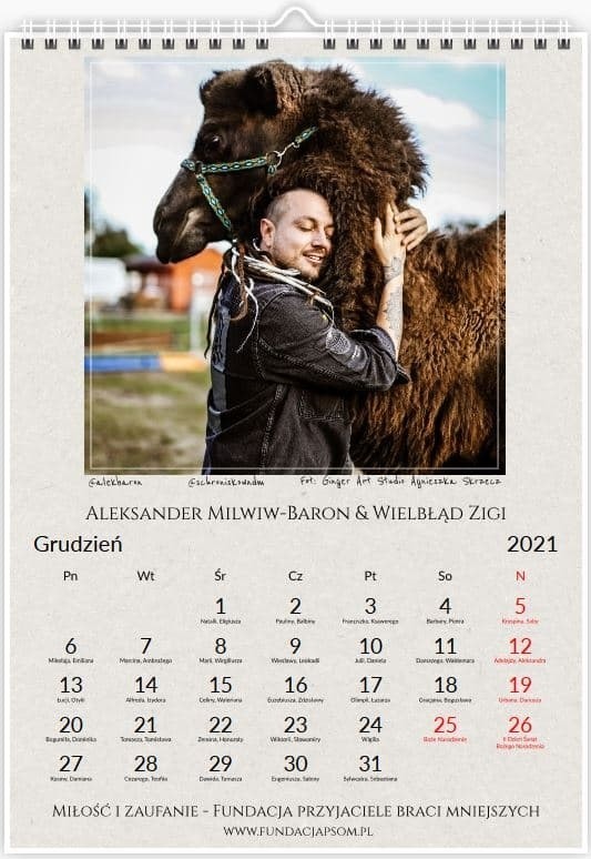 Kalendarz ma na celu pokazanie miłości do zwierząt oraz...