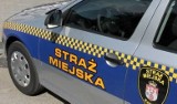 Interwencja Straży Miejskiej w Radomiu. Funkcjonariusze ujrzeli mężczyznę leżącego na podłodze, mieszkał w fatalnych warunkach