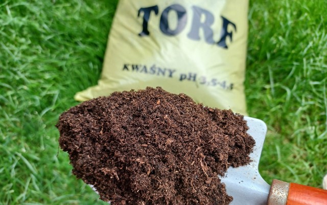 Torf jest często używany jako dodatek do podłoży. Szczególnie przydaje się w uprawie roślin, które lubią kwaśną ziemię, ale nie tylko, bo można też kupić torf odkwaszony.
